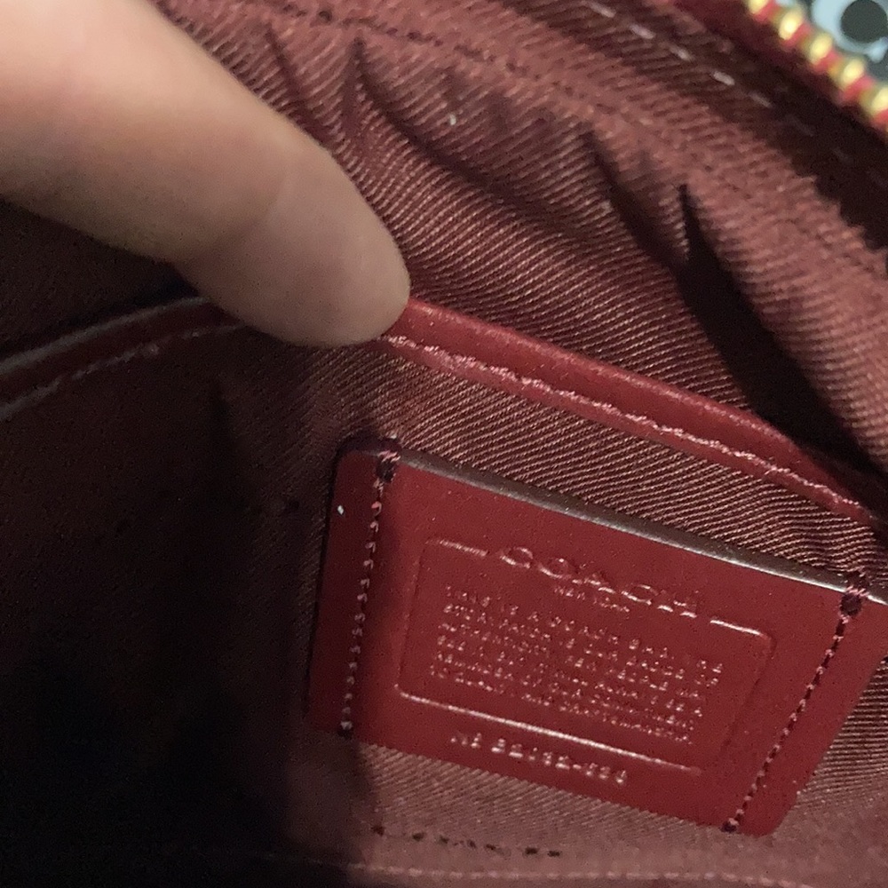 Coach Cassie color block pebble leather Camera baga - Picture 9 of 14